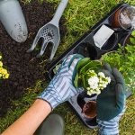 Giardinaggio A Terni