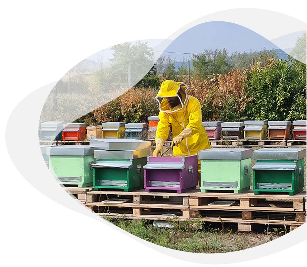 Servizi Per L'apicoltura A Terni