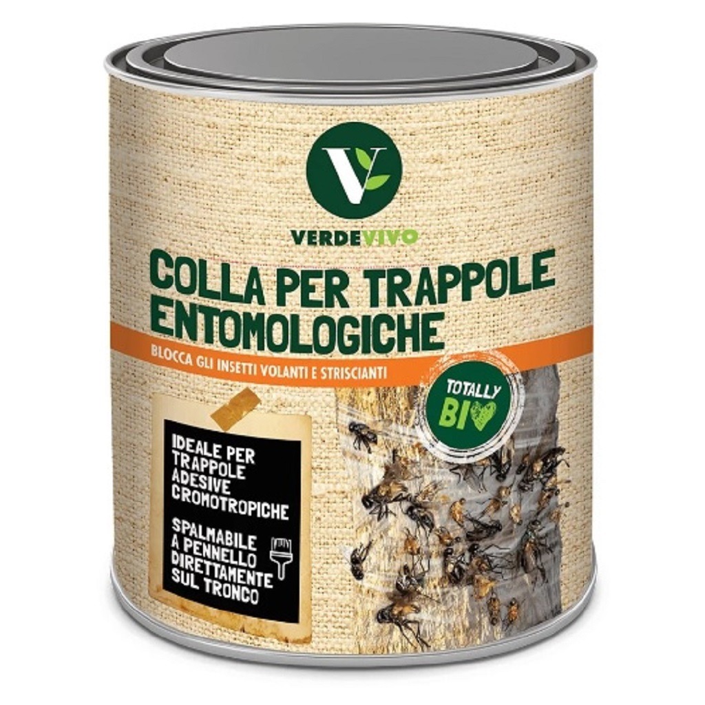 Colla Entomologica In Lattina