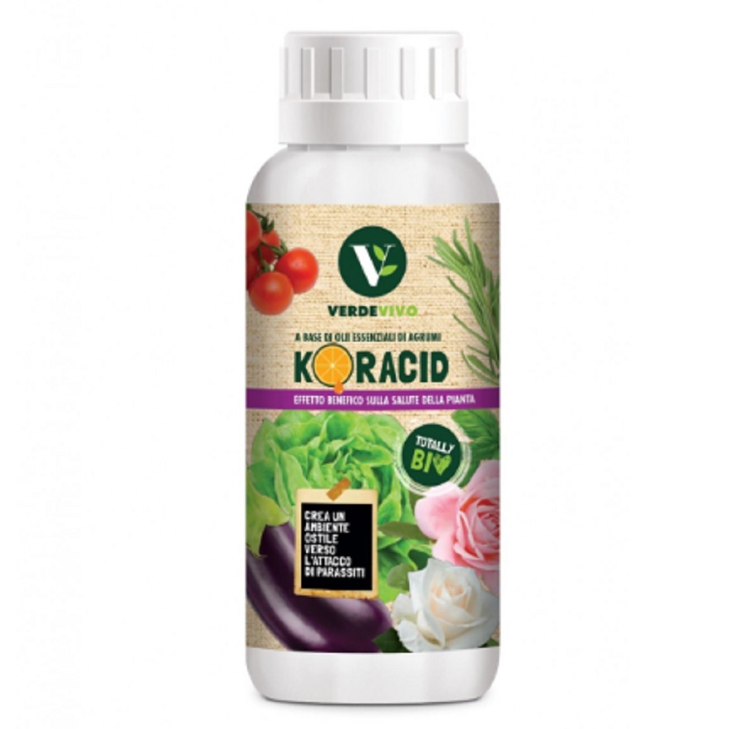 Olio Di Arancio 500ml